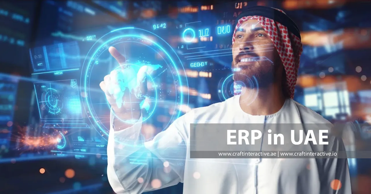 Best ERP in UAE