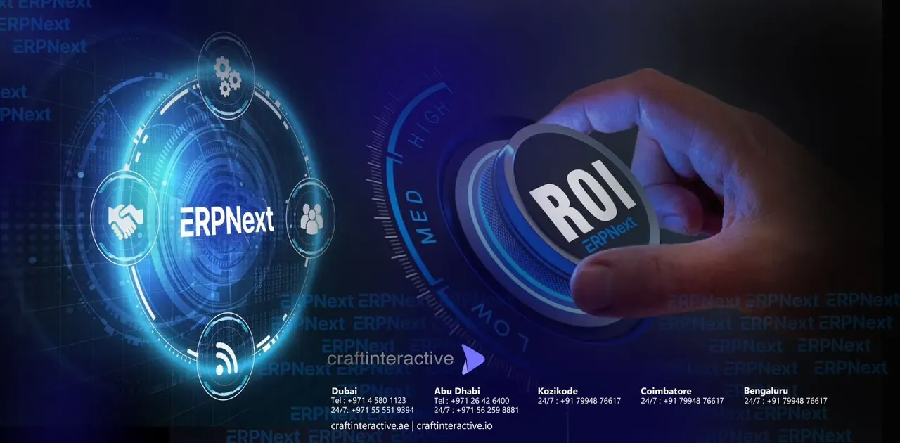 ERPNext ROI
