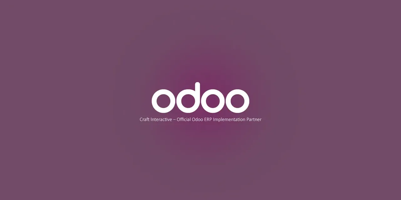 Odoo ERP Partne