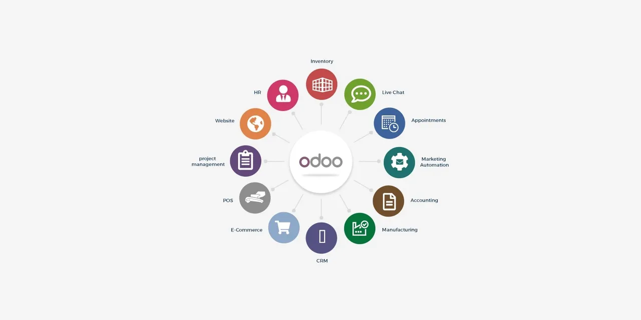 Odoo ERP Partner