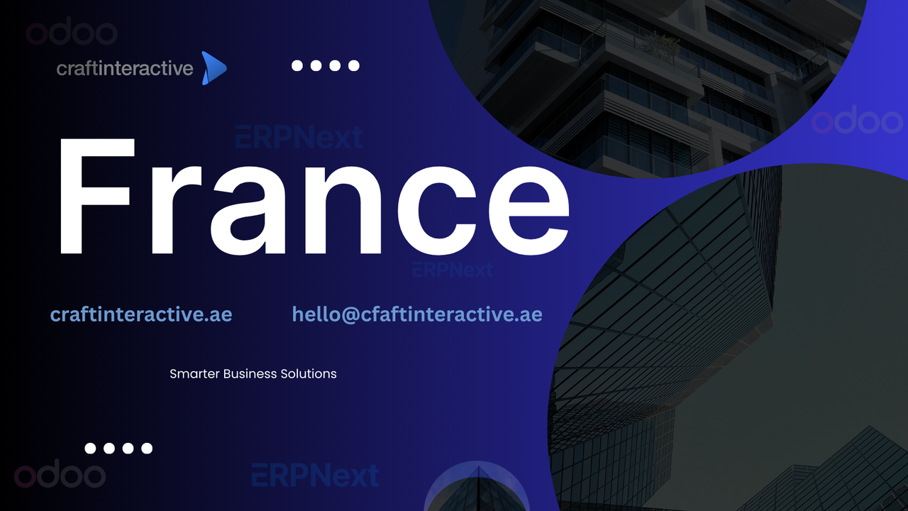 erp system in france