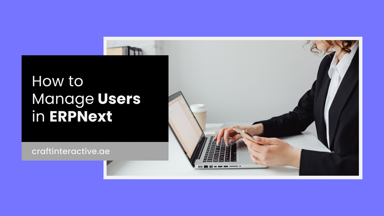 ERPNext User Module