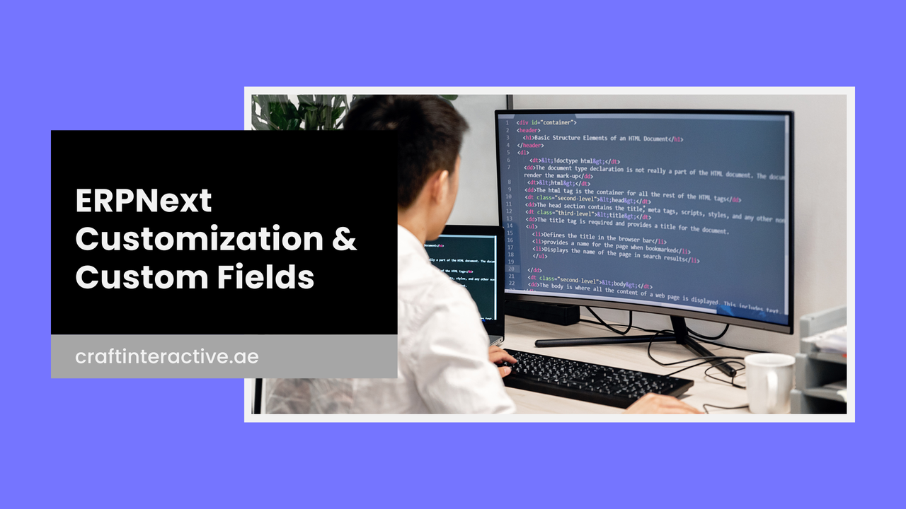 ERPNext Customization & Custom Fields
