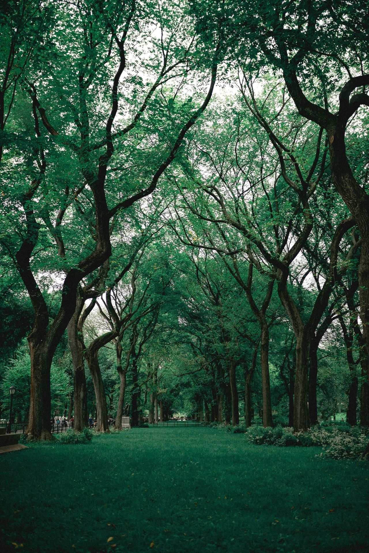 Go Green with ERPNext